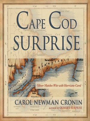 cover image of Cape Cod Surprise